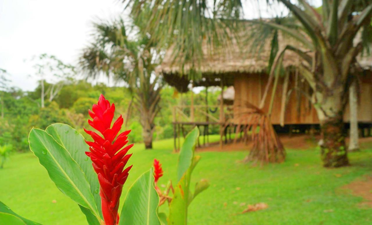 Pacaya Samiria Amazon Lodge Nauta Extérieur photo